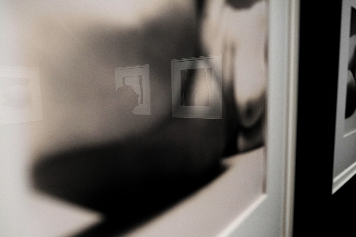 Irving Penn, Grand Palais / 2.